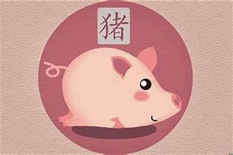 豬年 年份|属猪的年份 猪年是哪几年